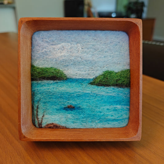 Biscayne National Park - Needle Felting Art