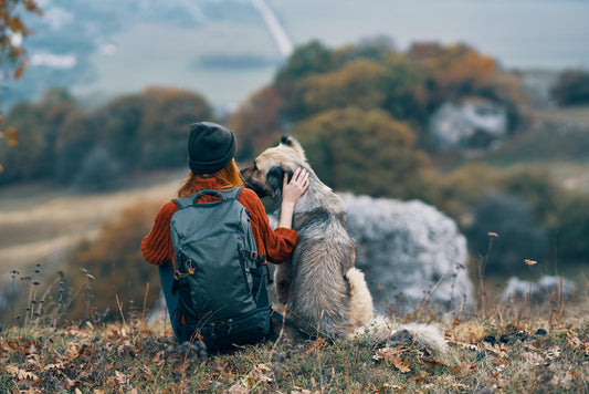 Hitting the Trails with Your Furry Best Friend: Tips for Dog-Friendly Hiking Adventures