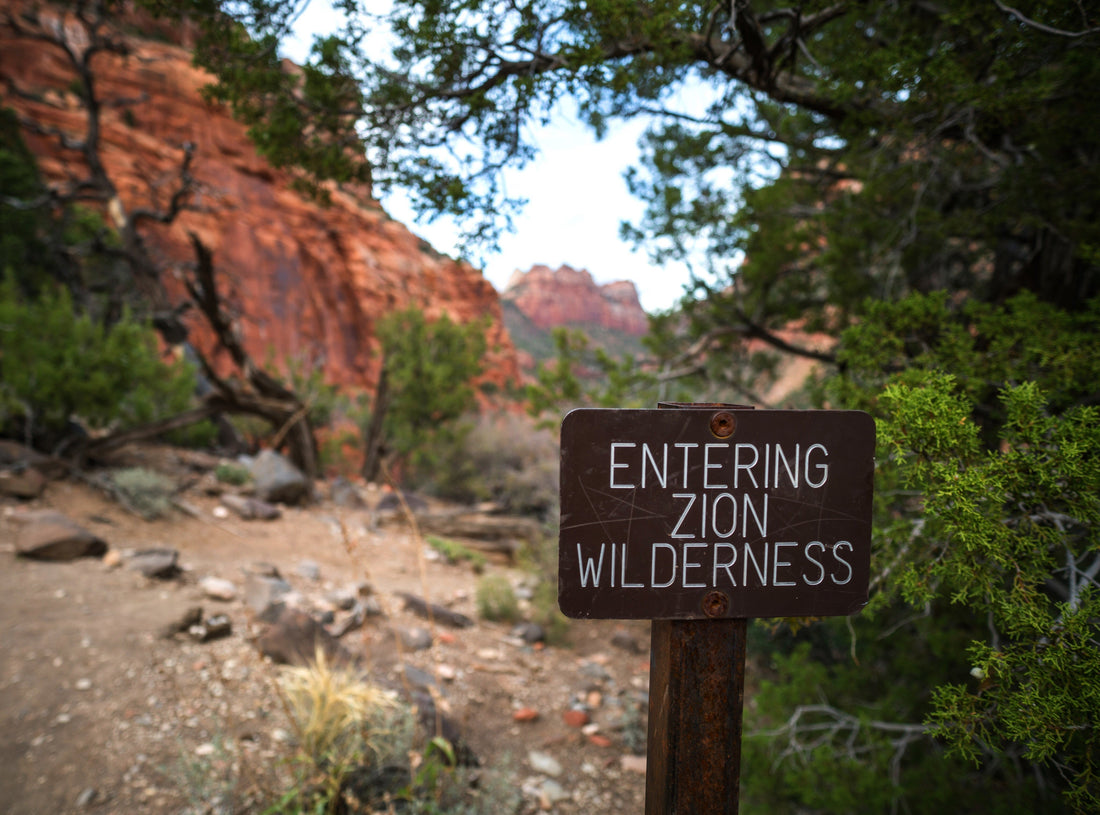 More Than Just Scenery: Why Preserving Our National Parks Matters